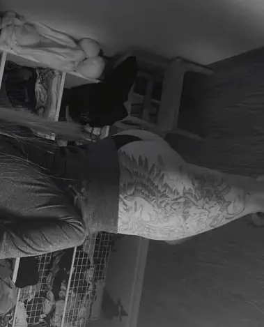 Миниатюра №7853:4